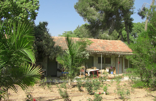 קובץ:Zrif Shvedi 2007.jpg
