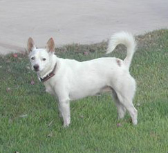 קובץ:Angie 2005.jpg