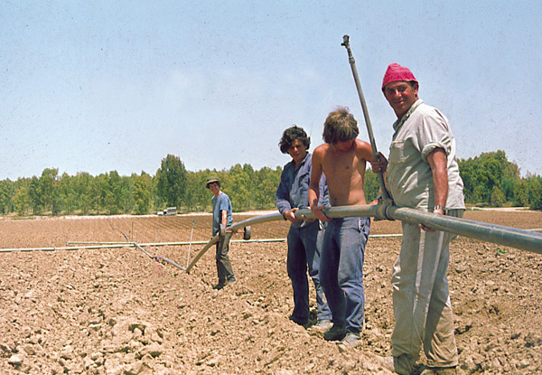 קובץ:Gadash Haskia.jpg