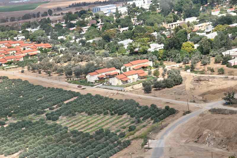 קובץ:IMG 2457beeri.jpg