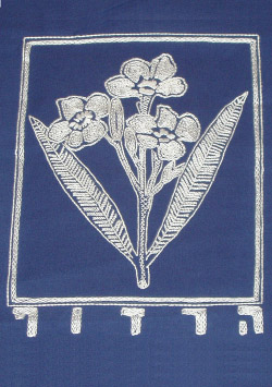 קובץ:Harduf f.jpg