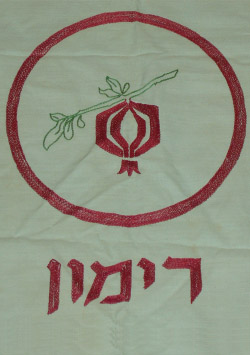 קובץ:Rimon f.jpg