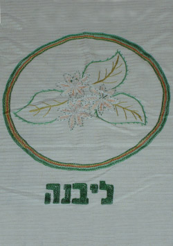 קובץ:Livne f.jpg