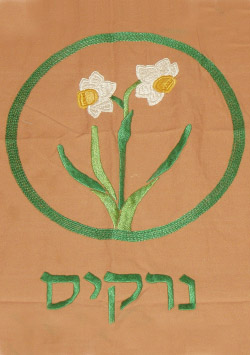 קובץ:Narkis f.jpg