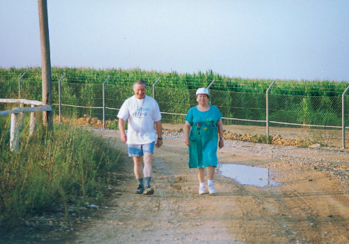 קובץ:Halicha Gader2.jpg