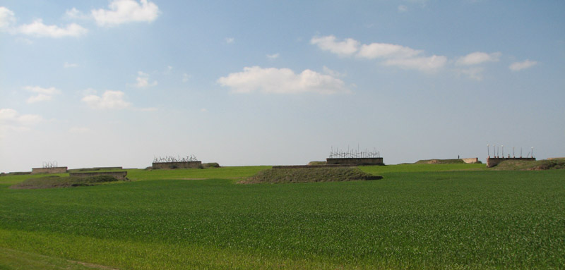 קובץ:Boris Bizurim 2008b.jpg