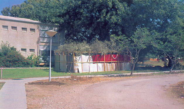 קובץ:Suka Shcuna.jpg