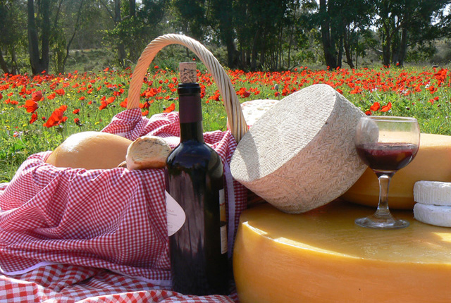 קובץ:Mahleva 11.jpg