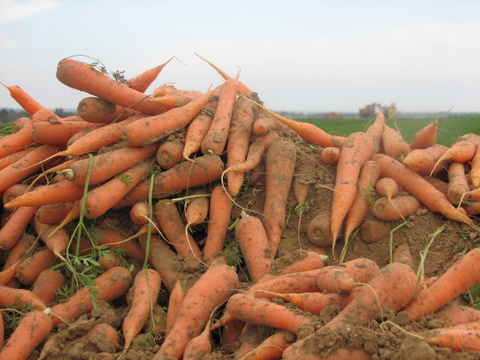 קובץ:IMG 1345.jpg