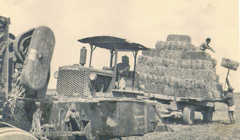 קובץ:Kash 50s.jpg