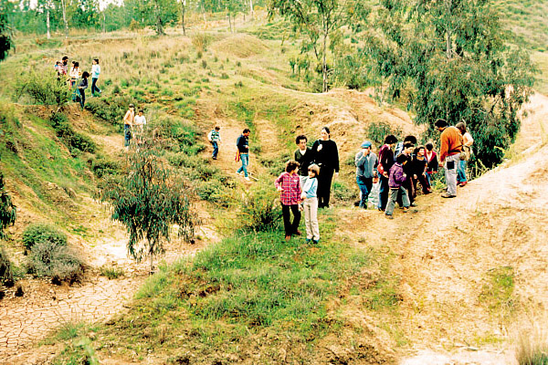 קובץ:Tiuley Mishpahot.jpg