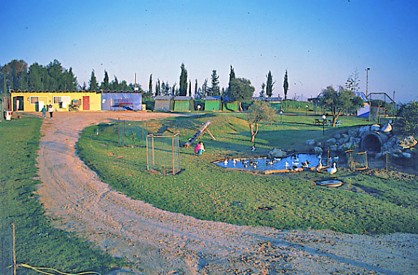 קובץ:Pinat Hai New.jpg