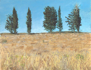 קובץ:Gabi KT.jpg