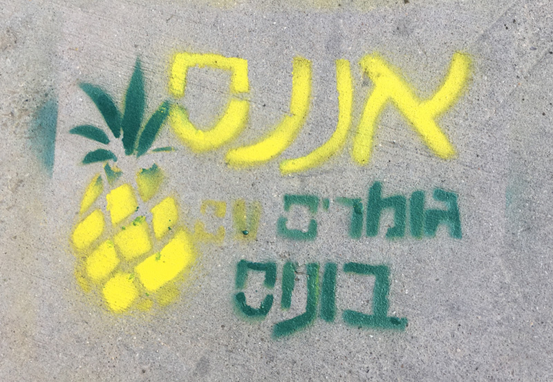 קובץ:Ananas drawing.jpg