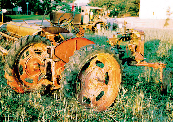 קובץ:FarmelC Shev.jpg