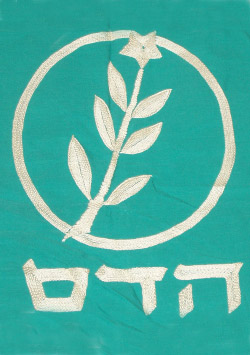 קובץ:Hadas f.jpg