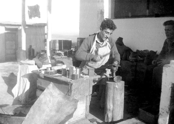 קובץ:Sandlaria Bruchim..jpg