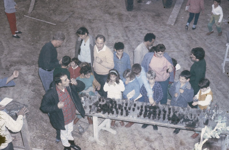 קובץ:Bet Haam 7.jpg