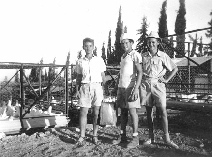 קובץ:Lul Gedera.jpg