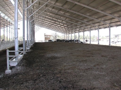 קובץ:Refet Negev1.jpg