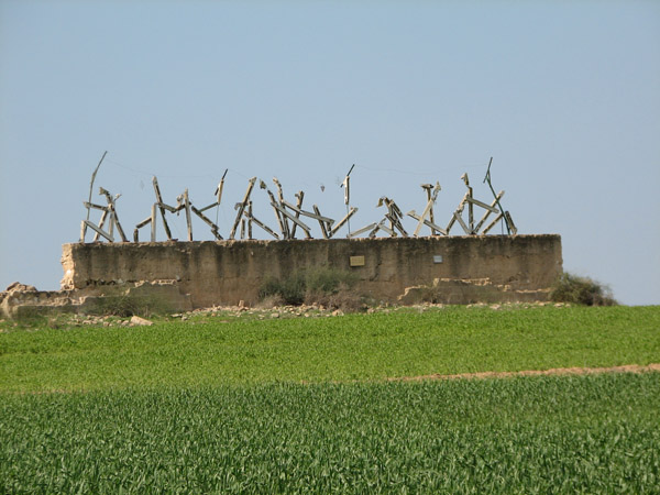 קובץ:Boris Bizurim 2008a.jpg