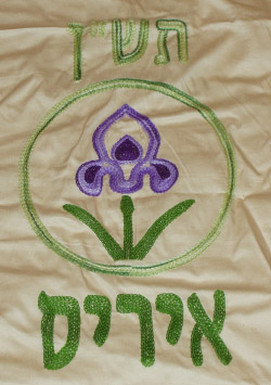 קובץ:Iris f.jpg