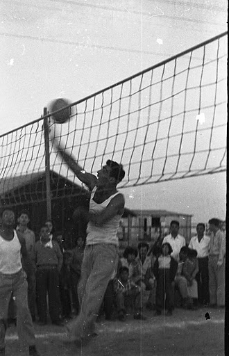 קובץ:Kaduraf 1955.jpg