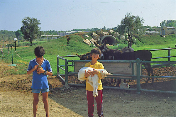 קובץ:Pinat Hai.jpg