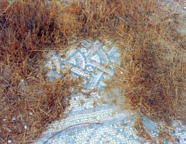 קובץ:Hirbet Grarit Psifas.jpg