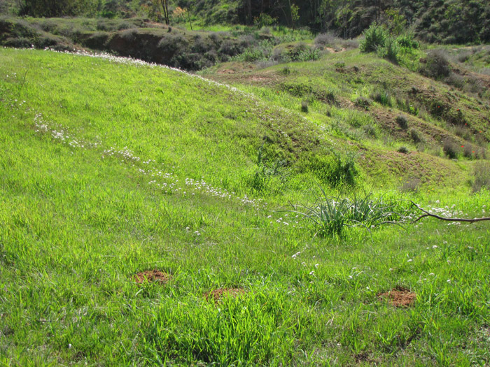 קובץ:Bitronot 2012.jpg