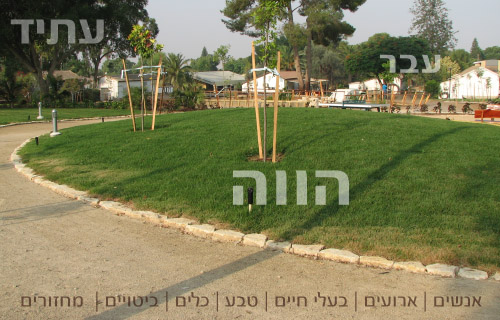 קובץ:Field4.jpg