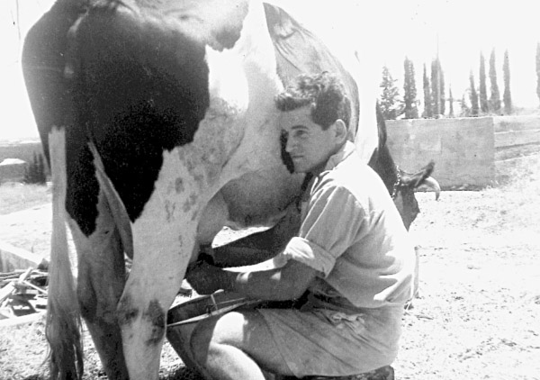 קובץ:Sdoma Michael.jpg