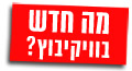תמונה ממוזערת לגרסה מ־04:32, 17 ביוני 2007