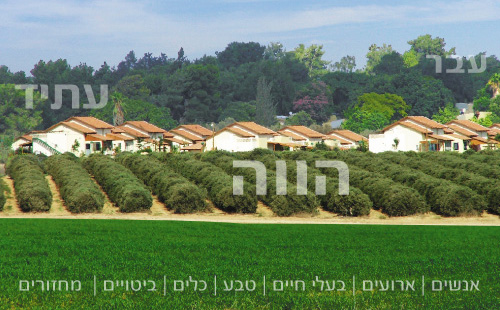 קובץ:Field3.jpg