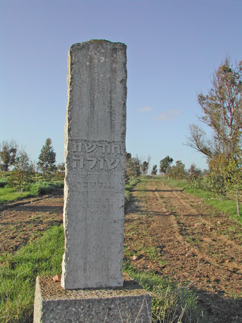 קובץ:Horshat Shula.jpg