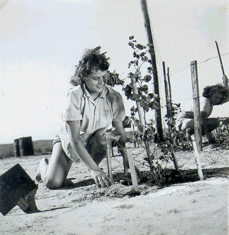 קובץ:Nahbir Shtila.jpg