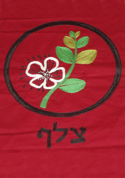 קובץ:Tsalaf f.jpg