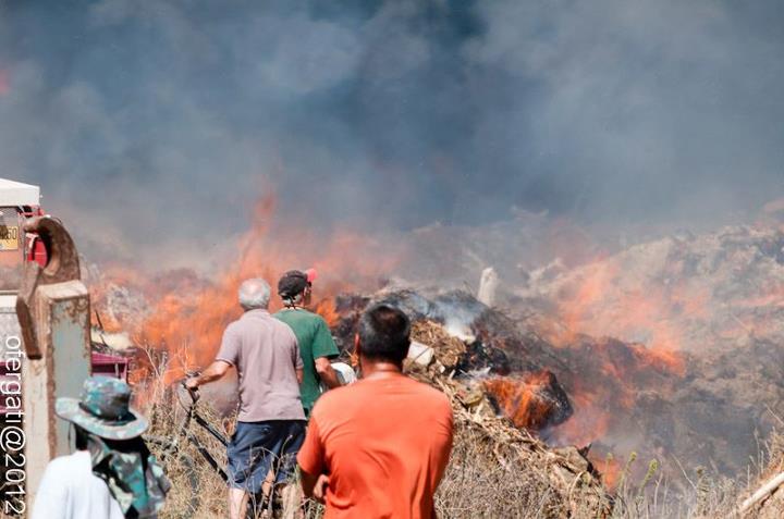 קובץ:Srifa 2012c.jpg