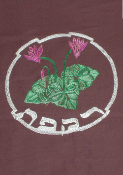 קובץ:Rakefet f.jpg