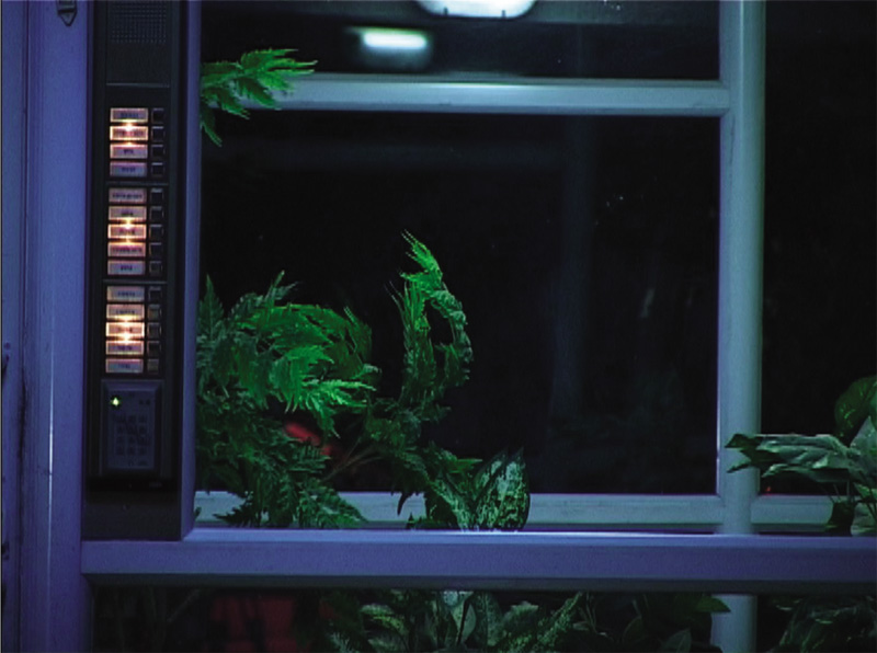 קובץ:Yariv S.jpg