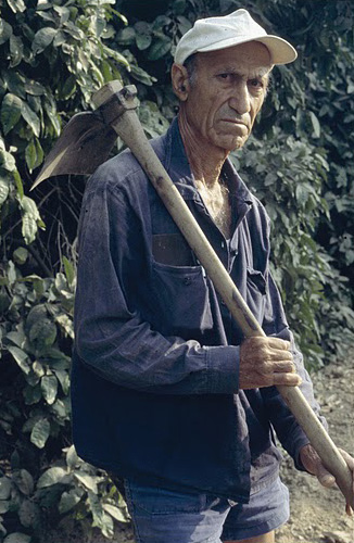 קובץ:Yoav turia2.jpg