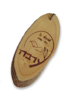 קובץ:Arava s.jpg