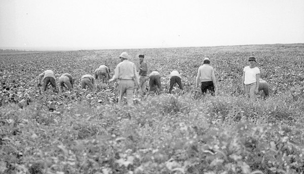 קובץ:Gius Kutna.jpg