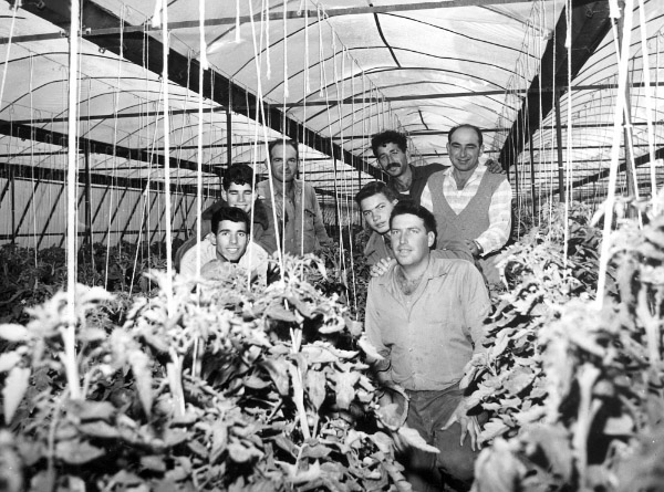 קובץ:Hamamot Zevet.jpg