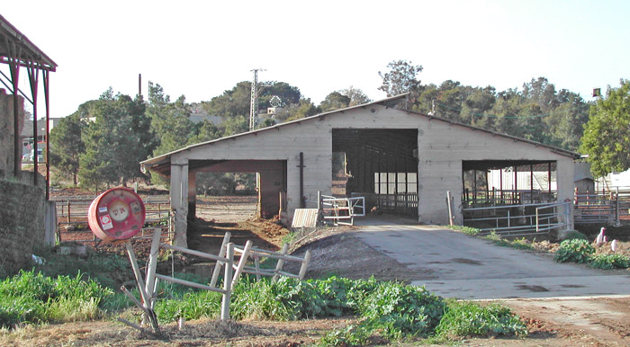 קובץ:Refet jan2006.jpg