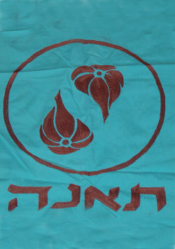 קובץ:Teena f.jpg
