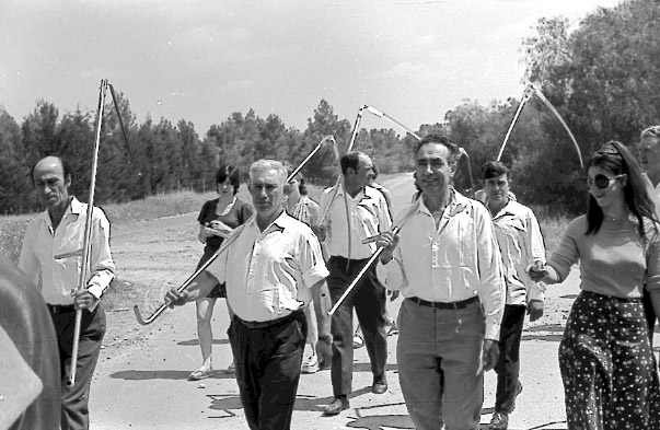 קובץ:Omer Hermesh.jpg