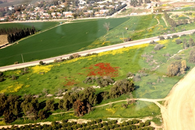 קובץ:Godard 2012 5.jpg