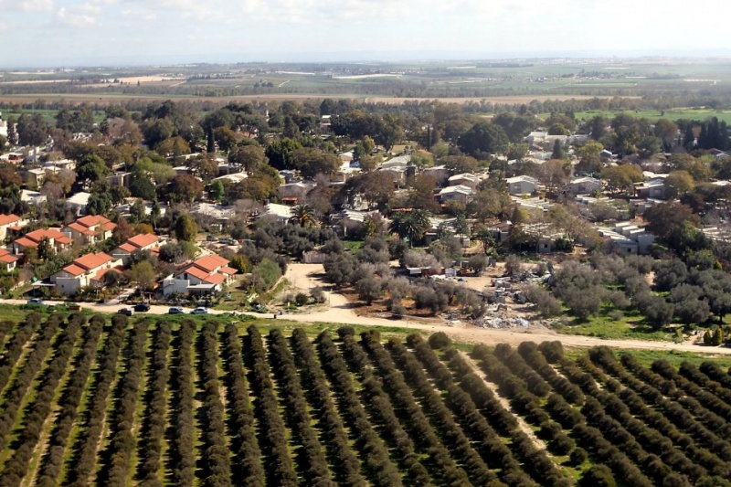 קובץ:Godard 2012 6.jpg