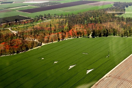 הטייס-צלם-עו"ד ועוד, אלי גודארד בתא הטייס